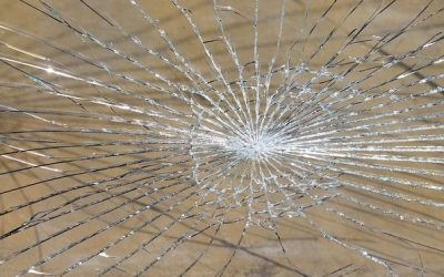 Welcome to the Jungle