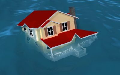 The Risks of Cheap Website Hosting